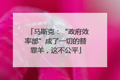 马斯克：“政府效率部”成了一切的替罪羊，这不公平