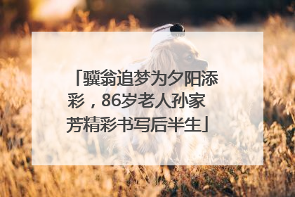 骥翁追梦为夕阳添彩，86岁老人孙家芳精彩书写后半生