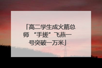 高二学生成火箭总师 “手搓”飞燕一号突破一万米