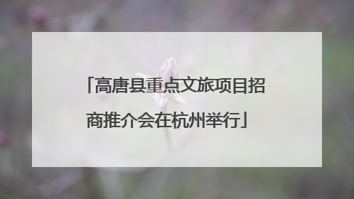 高唐县重点文旅项目招商推介会在杭州举行