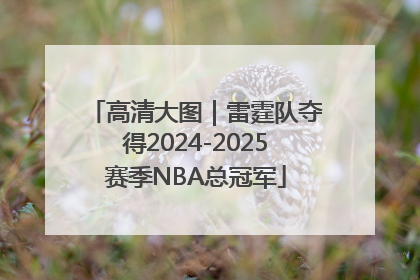 高清大图｜雷霆队夺得2024-2025赛季NBA总冠军