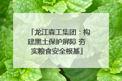 龙江森工集团：构建黑土保护屏障 夯实粮食安全根基