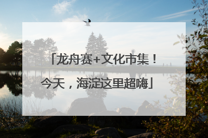 龙舟赛+文化市集！今天，海淀这里超嗨