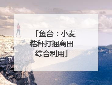 鱼台：小麦秸秆打捆离田综合利用