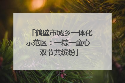鹤壁市城乡一体化示范区：一粽一童心 双节共缤纷