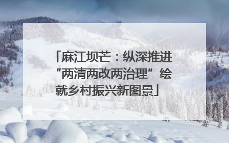 麻江坝芒：纵深推进“两清两改两治理”绘就乡村振兴新图景