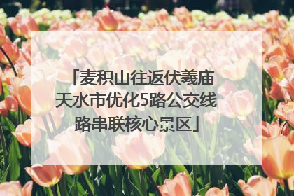 麦积山往返伏羲庙 天水市优化5路公交线路串联核心景区
