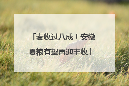 麦收过八成！安徽夏粮有望再迎丰收