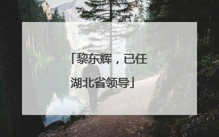黎东辉，已任湖北省领导