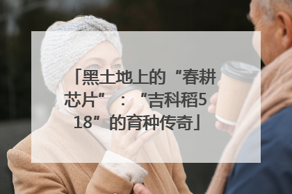 黑土地上的“春耕芯片”：“吉科稻518”的育种传奇