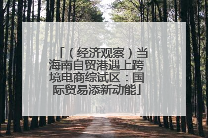 （经济观察）当海南自贸港遇上跨境电商综试区：国际贸易添新动能