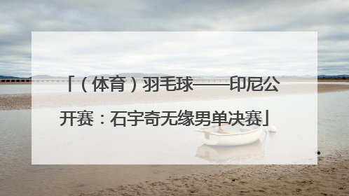 （体育）羽毛球——印尼公开赛：石宇奇无缘男单决赛