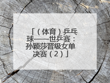 （体育）乒乓球——世乒赛：孙颖莎晋级女单决赛（2）