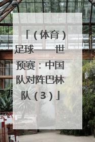 （体育）足球——世预赛：中国队对阵巴林队（3）
