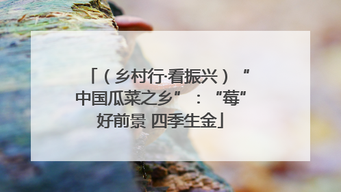 （乡村行·看振兴）“中国瓜菜之乡”：“莓”好前景 四季生金