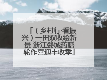 （乡村行·看振兴）一田双收绘新景 浙江婺城药膳轮作喜迎丰收季