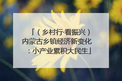 （乡村行·看振兴）内蒙古乡镇经济新变化：小产业累积大民生