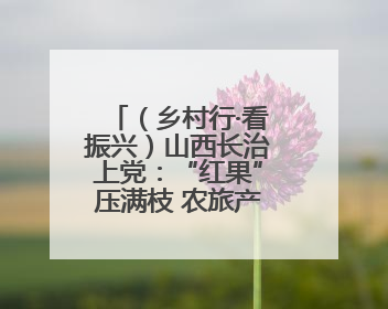 （乡村行·看振兴）山西长治上党：“红果”压满枝 农旅产业链促振兴