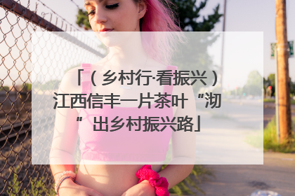 （乡村行·看振兴）江西信丰一片茶叶“沏”出乡村振兴路
