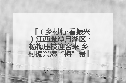 （乡村行·看振兴）江西鹰潭月湖区：杨梅压枝迎客来 乡村振兴添“梅”景