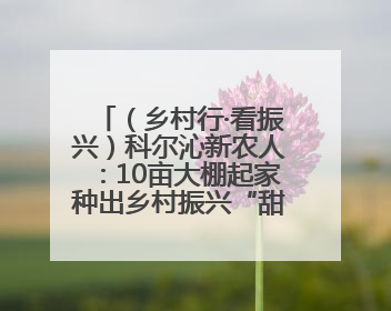 （乡村行·看振兴）科尔沁新农人：10亩大棚起家种出乡村振兴“甜蜜果”