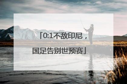 0:1不敌印尼，国足告别世预赛