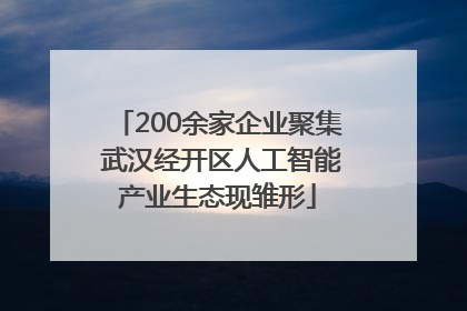 200余家企业聚集 武汉经开区人工智能产业生态现雏形