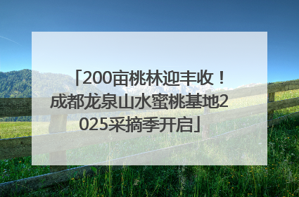 200亩桃林迎丰收！成都龙泉山水蜜桃基地2025采摘季开启