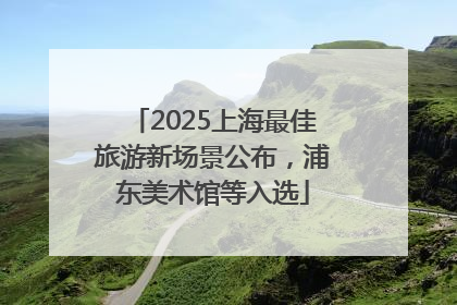 2025上海最佳旅游新场景公布，浦东美术馆等入选