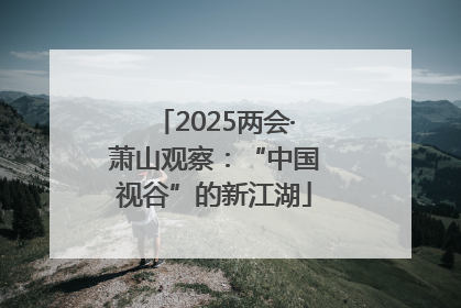 2025两会·萧山观察：“中国视谷”的新江湖