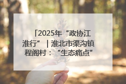2025年“政协江淮行”｜淮北市渠沟镇程阁村：“生态痛点”变“生态景观”