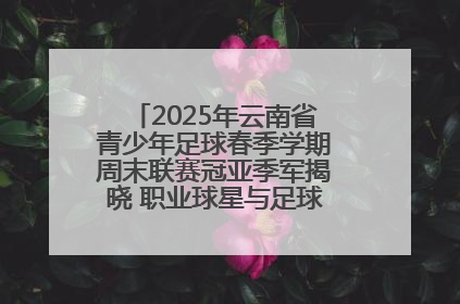 2025年云南省青少年足球春季学期周末联赛冠亚季军揭晓 职业球星与足球小将共享荣耀时刻