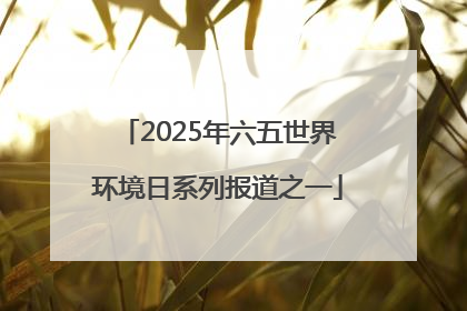 2025年六五世界环境日系列报道之一
