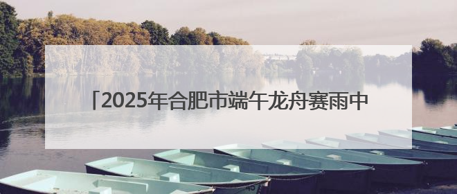 2025年合肥市端午龙舟赛雨中开赛 29支龙舟队龙舞少荃湖