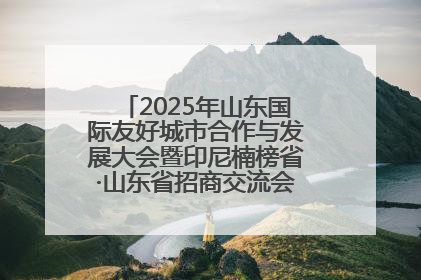 2025年山东国际友好城市合作与发展大会暨印尼楠榜省·山东省招商交流会在济南槐荫举行
