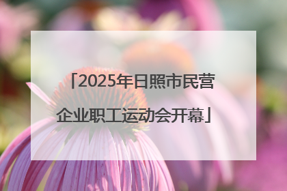2025年日照市民营企业职工运动会开幕