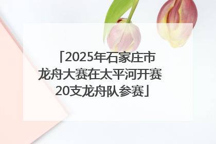 2025年石家庄市龙舟大赛在太平河开赛 20支龙舟队参赛