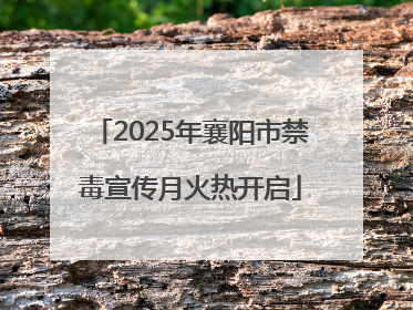 2025年襄阳市禁毒宣传月火热开启