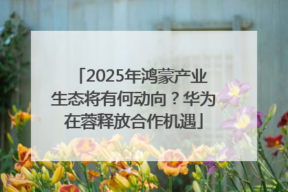 2025年鸿蒙产业生态将有何动向？华为在蓉释放合作机遇