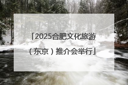 2025合肥文化旅游（东京）推介会举行