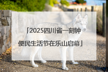 2025四川省一刻钟便民生活节在乐山启幕