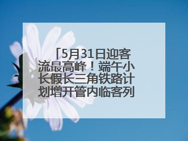 5月31日迎客流最高峰！端午小长假长三角铁路计划增开管内临客列车139对