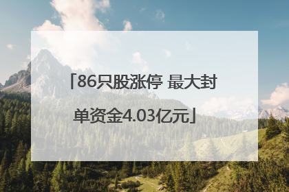 86只股涨停 最大封单资金4.03亿元