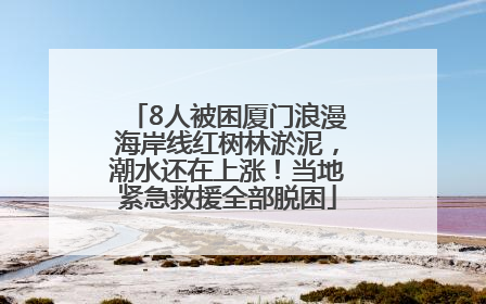 8人被困厦门浪漫海岸线红树林淤泥，潮水还在上涨！当地紧急救援全部脱困