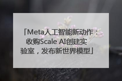 Meta人工智能新动作：收购Scale AI创建实验室，发布新世界模型